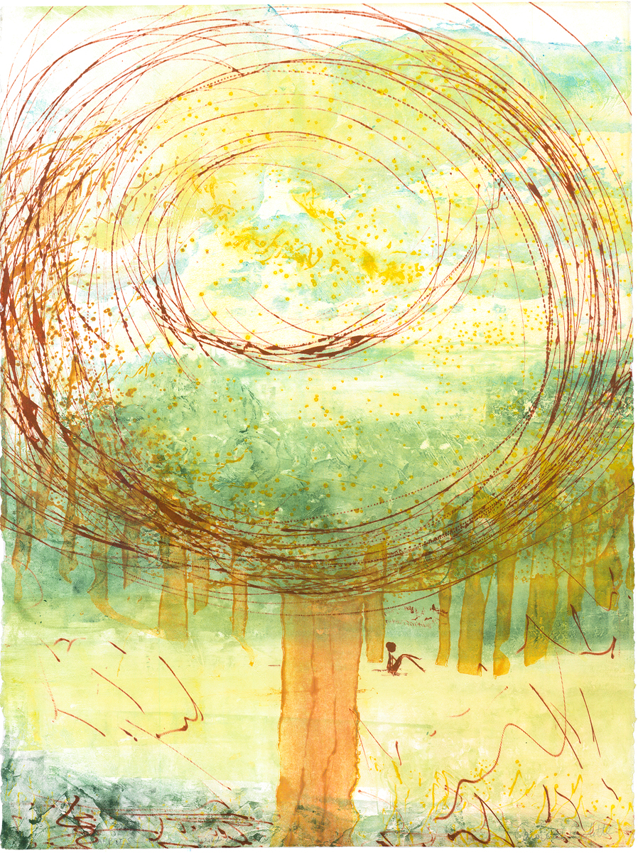 Arbres remarquables – Caroline Rochette